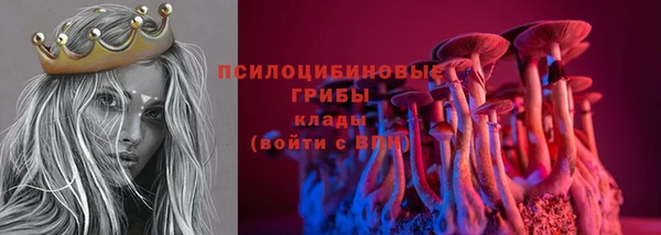 прущий лед Богородск