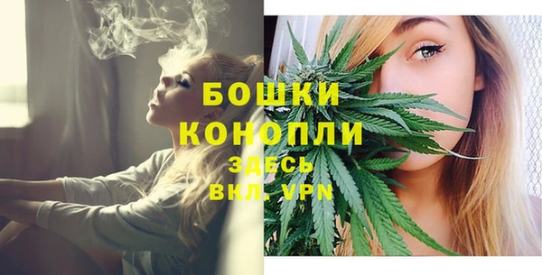 дживик Богданович