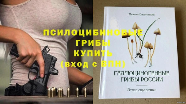 прущий лед Богородск
