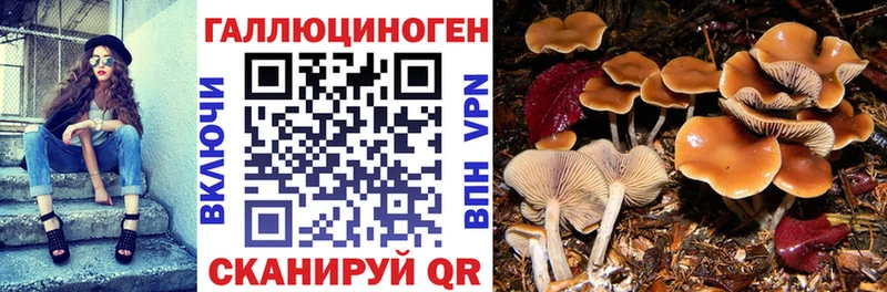 Галлюциногенные грибы мухоморы Реж